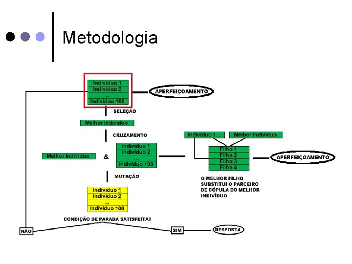 Metodologia 