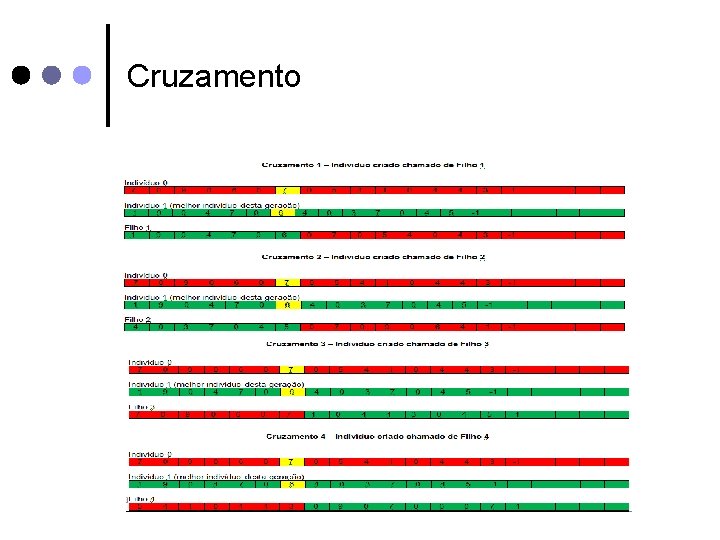 Cruzamento 