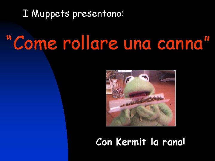 I Muppets presentano: “Come rollare una canna” Con Kermit la rana! 