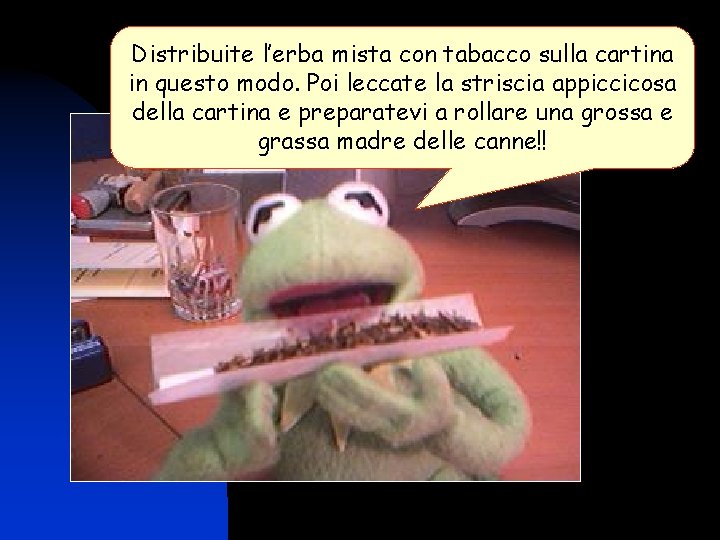 Distribuite l’erba mista con tabacco sulla cartina in questo modo. Poi leccate la striscia