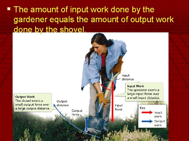 § The amount of input work done by the gardener equals the amount of