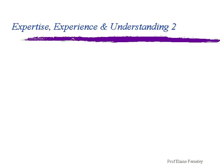 Expertise, Experience & Understanding 2 Prof Elaine Ferneley 