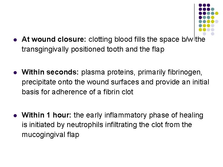 l At wound closure: clotting blood fills the space b/w the transgingivally positioned tooth