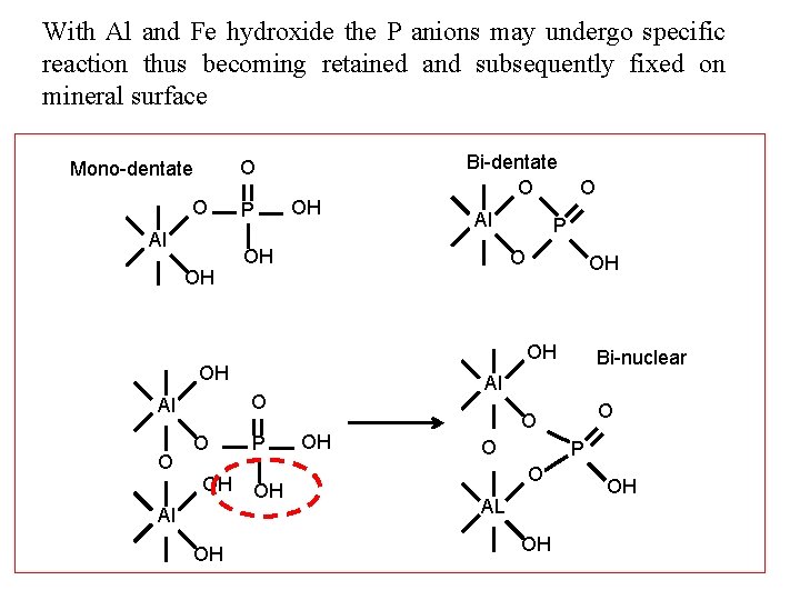 With Al and Fe hydroxide the P anions may undergo specific reaction thus becoming With Al and Fe hydroxide the P anions may undergo specific reaction thus becoming