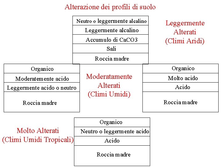 Alterazione dei profili di suolo Neutro o leggermente alcalino Leggermente alcalino Accumulo di Ca. Alterazione dei profili di suolo Neutro o leggermente alcalino Leggermente alcalino Accumulo di Ca.
