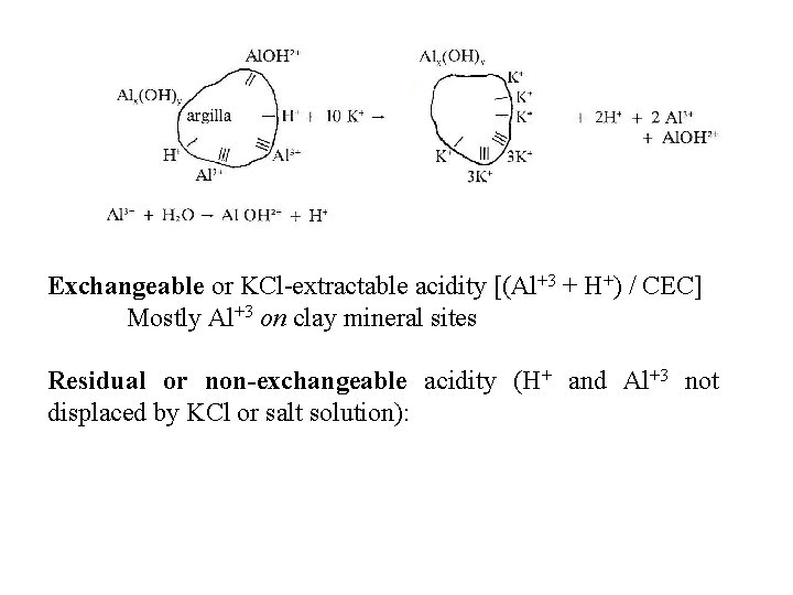 Exchangeable or KCl-extractable acidity [(Al+3 + H+) / CEC] Mostly Al+3 on clay mineral