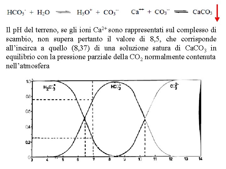 Il p. H del terreno, se gli ioni Ca 2+ sono rappresentati sul complesso Il p. H del terreno, se gli ioni Ca 2+ sono rappresentati sul complesso