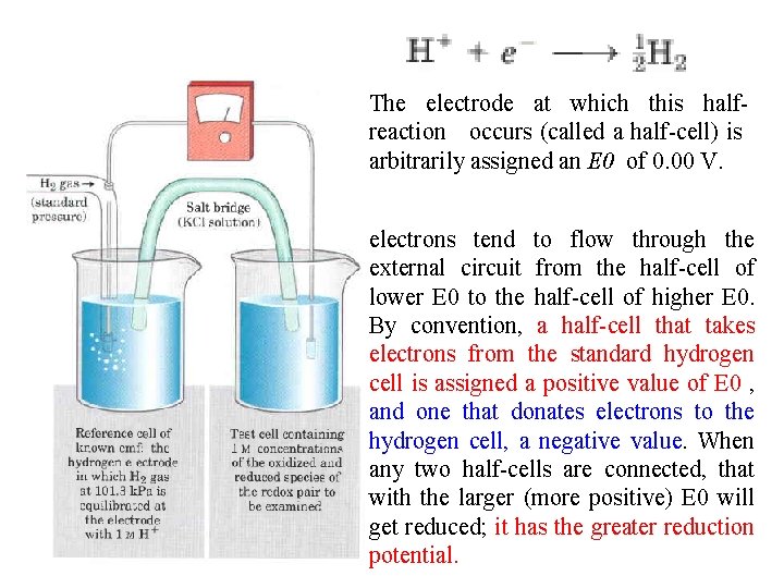 The electrode at which this halfreaction occurs (called a half-cell) is arbitrarily assigned an The electrode at which this halfreaction occurs (called a half-cell) is arbitrarily assigned an