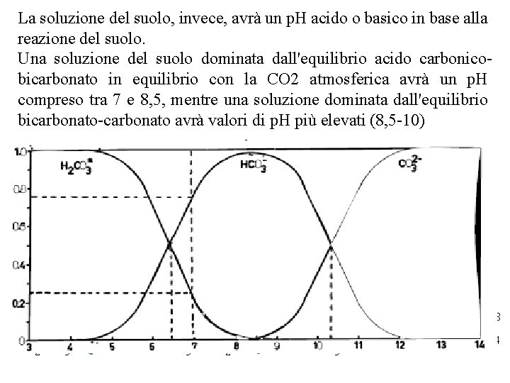 La soluzione del suolo, invece, avrà un p. H acido o basico in base La soluzione del suolo, invece, avrà un p. H acido o basico in base