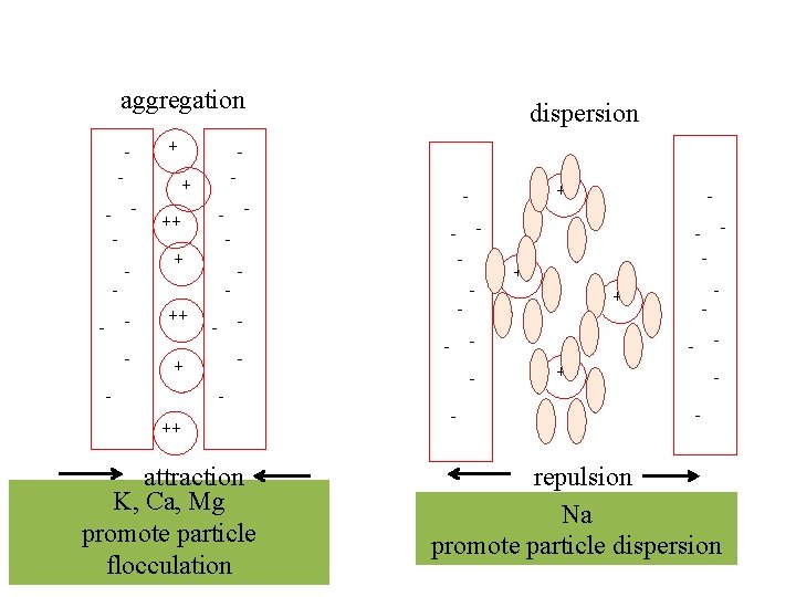 aggregation - - + - dispersion ++ + - - ++ - - - aggregation - - + - dispersion ++ + - - ++ - - -