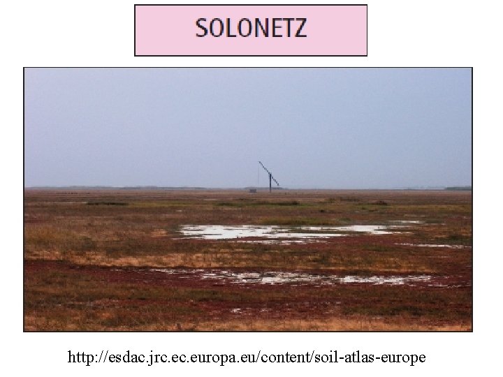 Soil with subsurface horizon of clay accumulation and high sodium content (from the Russian, Soil with subsurface horizon of clay accumulation and high sodium content (from the Russian,