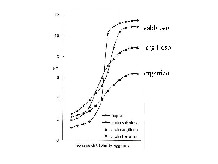 sabbioso argilloso organico sabbioso argilloso organico
