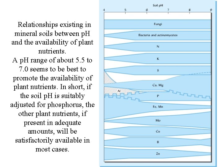 Relationships existing in mineral soils between p. H and the availability of plant Relationships existing in mineral soils between p. H and the availability of plant