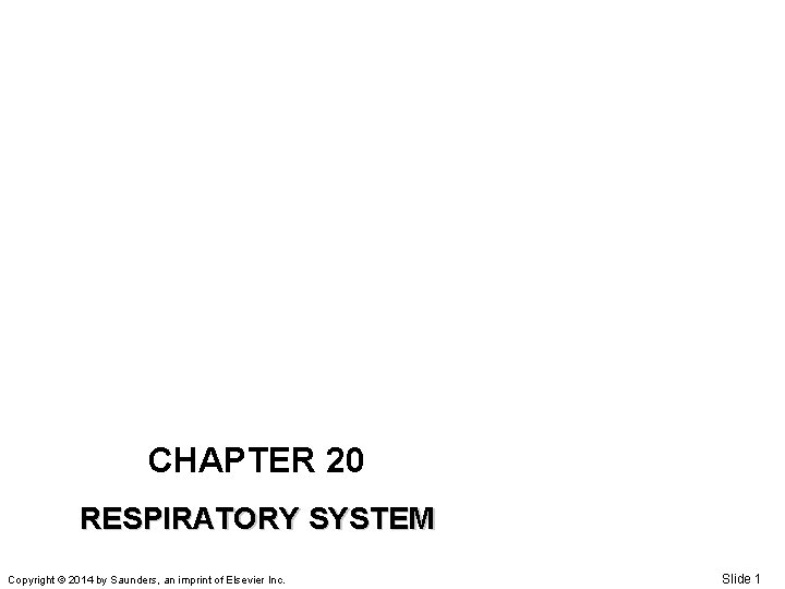 CHAPTER 20 RESPIRATORY SYSTEM Copyright © 2014 by Saunders, an imprint of Elsevier Inc.