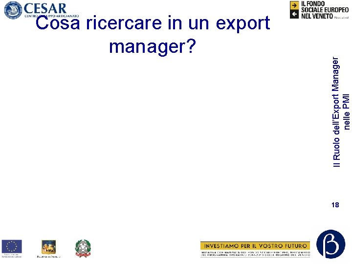 Il Ruolo dell’Export Manager nelle PMI Cosa ricercare in un export manager? 18 