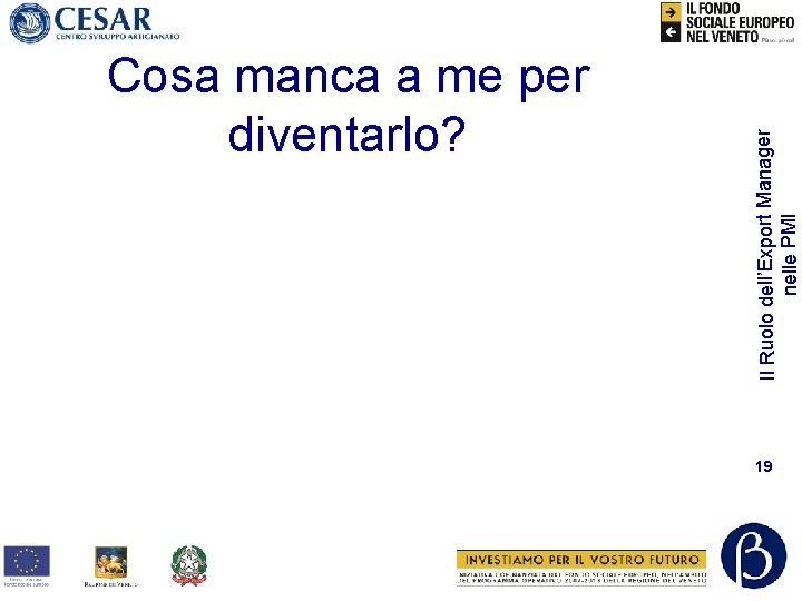 Il Ruolo dell’Export Manager nelle PMI Cosa manca a me per diventarlo? 19 