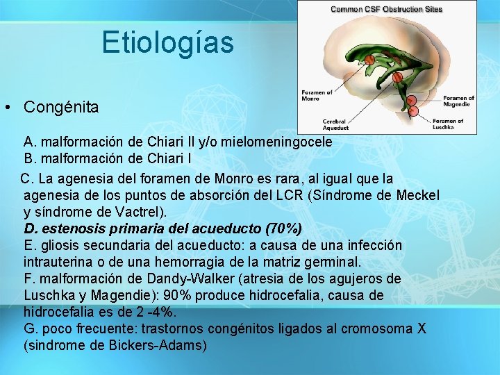 Etiologías • Congénita A. malformación de Chiari II y/o mielomeningocele B. malformación de Chiari