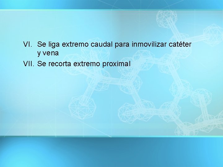 VI. Se liga extremo caudal para inmovilizar catéter y vena VII. Se recorta extremo