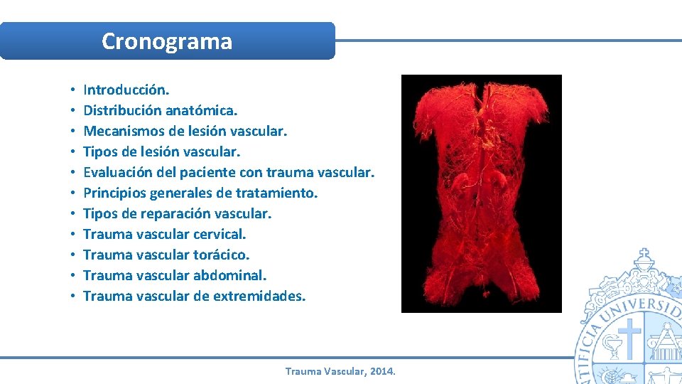 Cronograma • • • Introducción. Distribución anatómica. Mecanismos de lesión vascular. Tipos de lesión Cronograma • • • Introducción. Distribución anatómica. Mecanismos de lesión vascular. Tipos de lesión