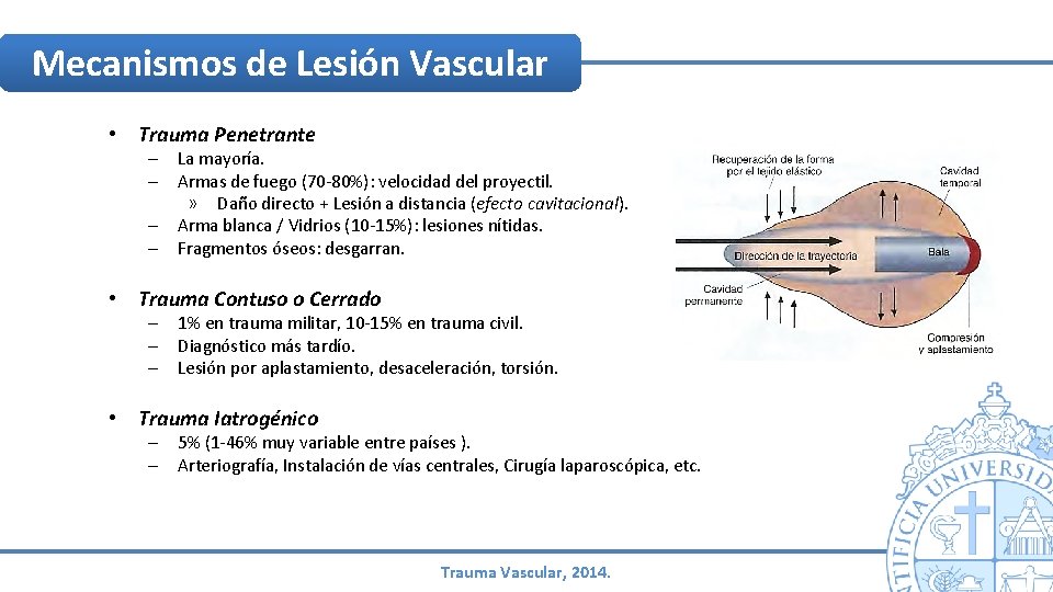 Mecanismos de Lesión Vascular • Trauma Penetrante – La mayoría. – Armas de fuego Mecanismos de Lesión Vascular • Trauma Penetrante – La mayoría. – Armas de fuego