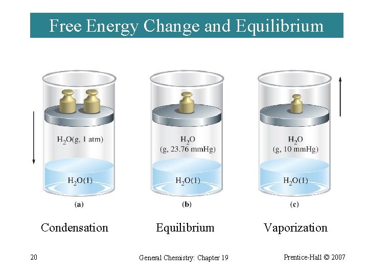 Free Energy Change and Equilibrium Condensation 20 Equilibrium General Chemistry: Chapter 19 Vaporization Prentice-Hall