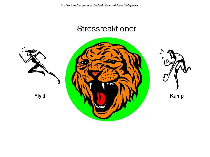 Studievägledningen och Studenthälsan vid Malmö högskola Stressreaktioner Flykt Kamp 
