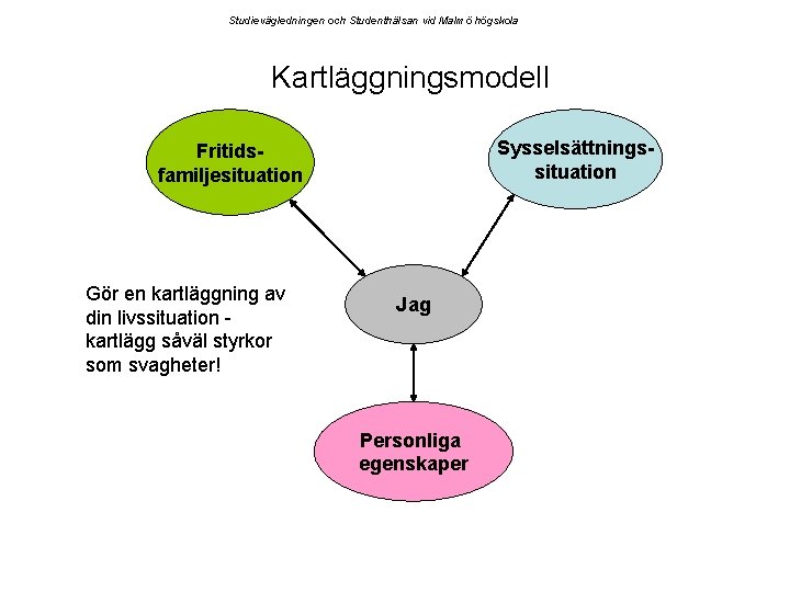 Studievägledningen och Studenthälsan vid Malmö högskola Kartläggningsmodell Sysselsättningssituation Fritidsfamiljesituation Gör en kartläggning av din