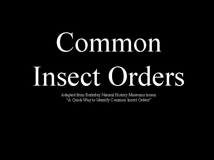 Common Insect Orders Adapted from Berkeley Natural History Museums lesson “A Quick Way to