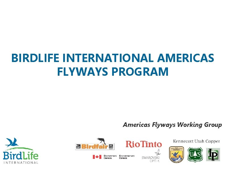 BIRDLIFE INTERNATIONAL AMERICAS FLYWAYS PROGRAM Americas Flyways Working Group 