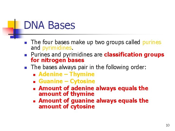 DNA Bases n n n The four bases make up two groups called purines