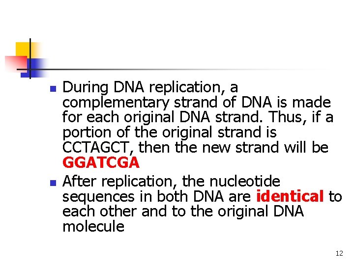 n n During DNA replication, a complementary strand of DNA is made for each
