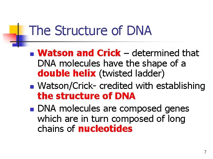 The Structure of DNA n n n Watson and Crick – determined that DNA