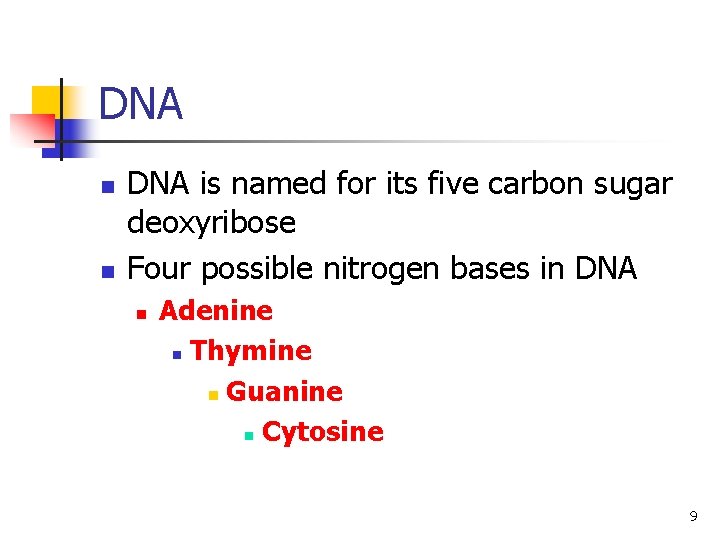 DNA n n DNA is named for its five carbon sugar deoxyribose Four possible