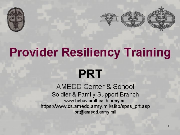Provider Resiliency Training PRT AMEDD Center & School Soldier & Family Support Branch www.