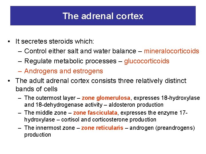 The adrenal cortex • It secretes steroids which: – Control either salt and water