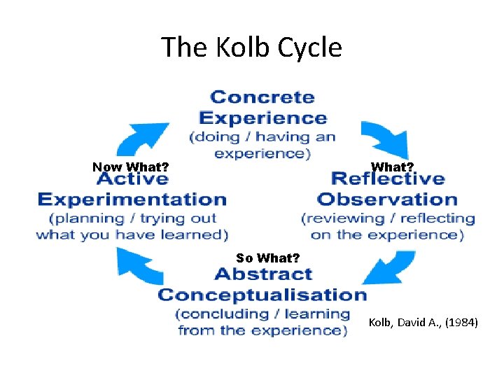 The Kolb Cycle Now What? So What? Kolb, David A. , (1984) 