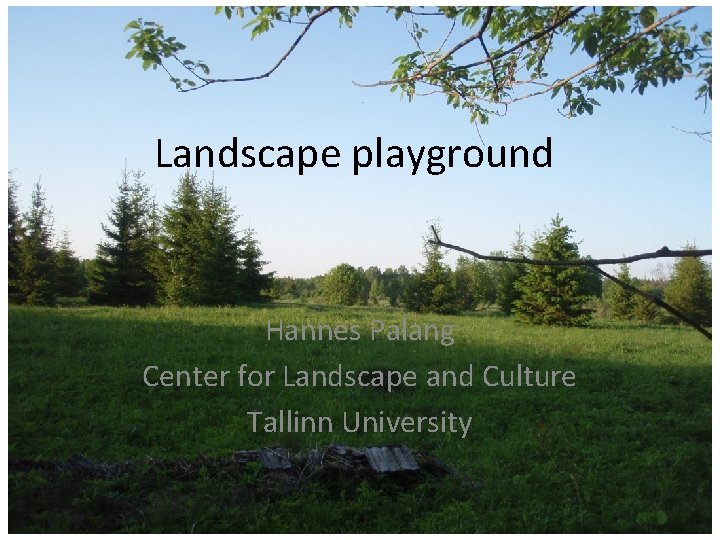 Landscape playground Hannes Palang Center for Landscape and Culture Tallinn University 