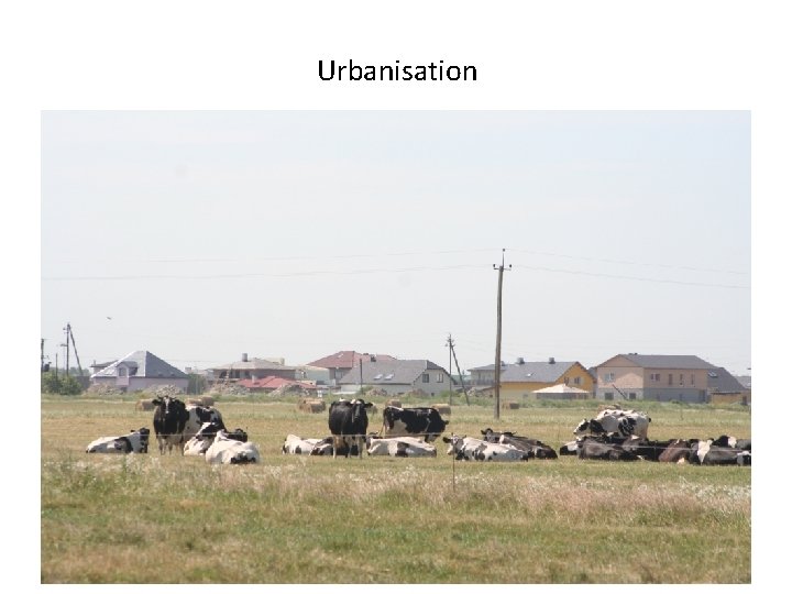 Urbanisation 