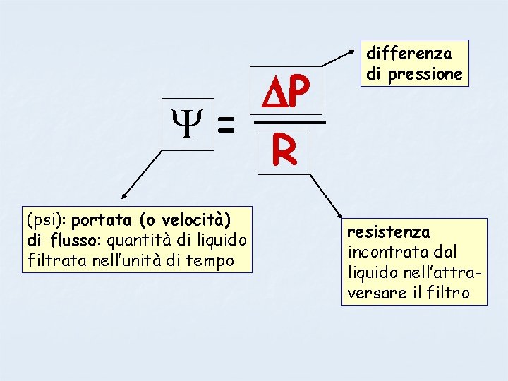  P = R (psi): portata (o velocità) di flusso: quantità di liquido filtrata