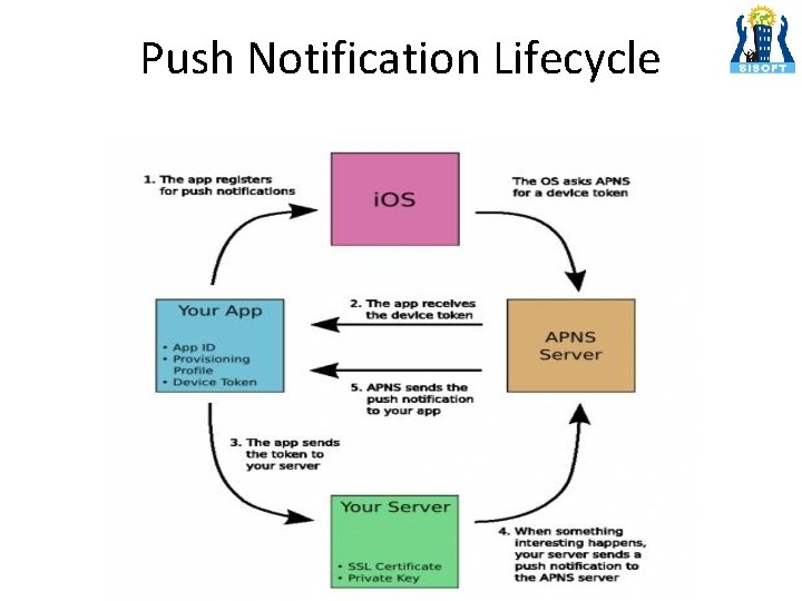 Push Notification Lifecycle 