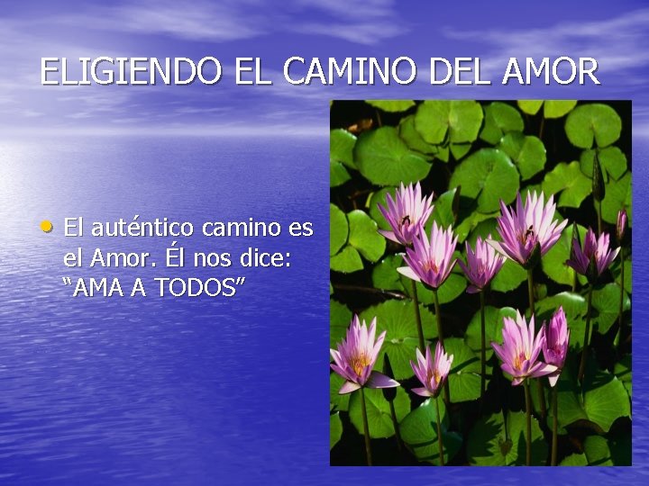 ELIGIENDO EL CAMINO DEL AMOR • El auténtico camino es el Amor. Él nos