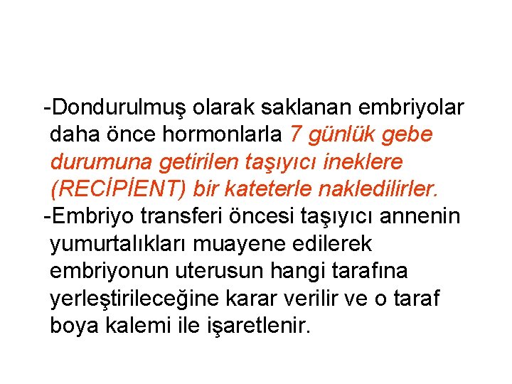 -Dondurulmuş olarak saklanan embriyolar daha önce hormonlarla 7 günlük gebe durumuna getirilen taşıyıcı ineklere