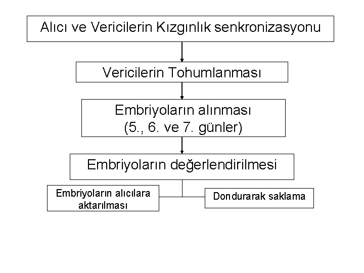 Alıcı ve Vericilerin Kızgınlık senkronizasyonu Vericilerin Tohumlanması Embriyoların alınması (5. , 6. ve 7.