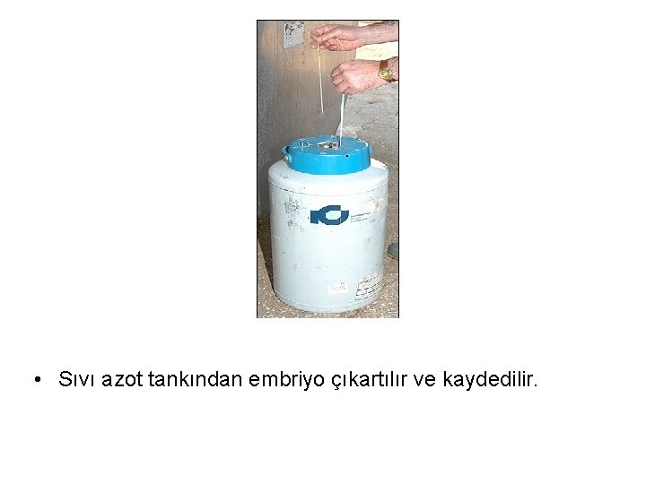  • Sıvı azot tankından embriyo çıkartılır ve kaydedilir. 