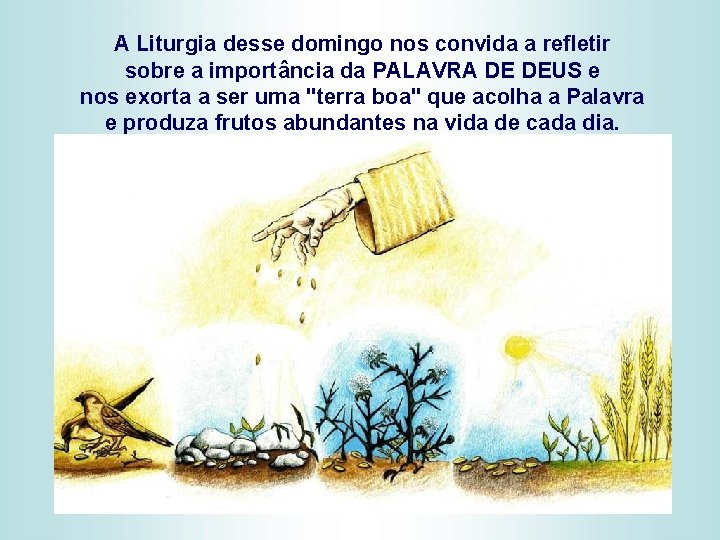 A Liturgia desse domingo nos convida a refletir sobre a importância da PALAVRA DE