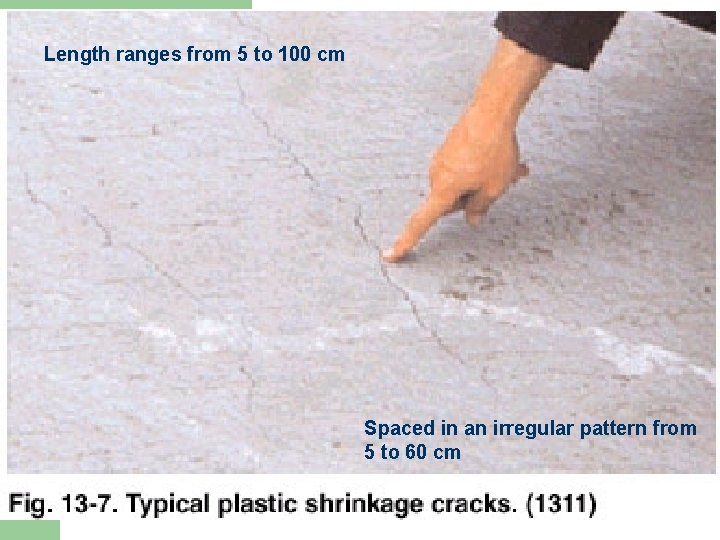 Length ranges from 5 to 100 cm Spaced in an irregular pattern from 5