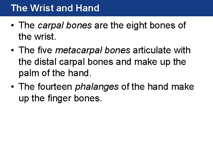 The Wrist and Hand • The carpal bones are the eight bones of the The Wrist and Hand • The carpal bones are the eight bones of the