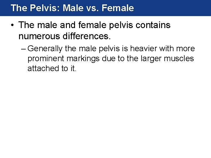 The Pelvis: Male vs. Female • The male and female pelvis contains numerous differences. The Pelvis: Male vs. Female • The male and female pelvis contains numerous differences.