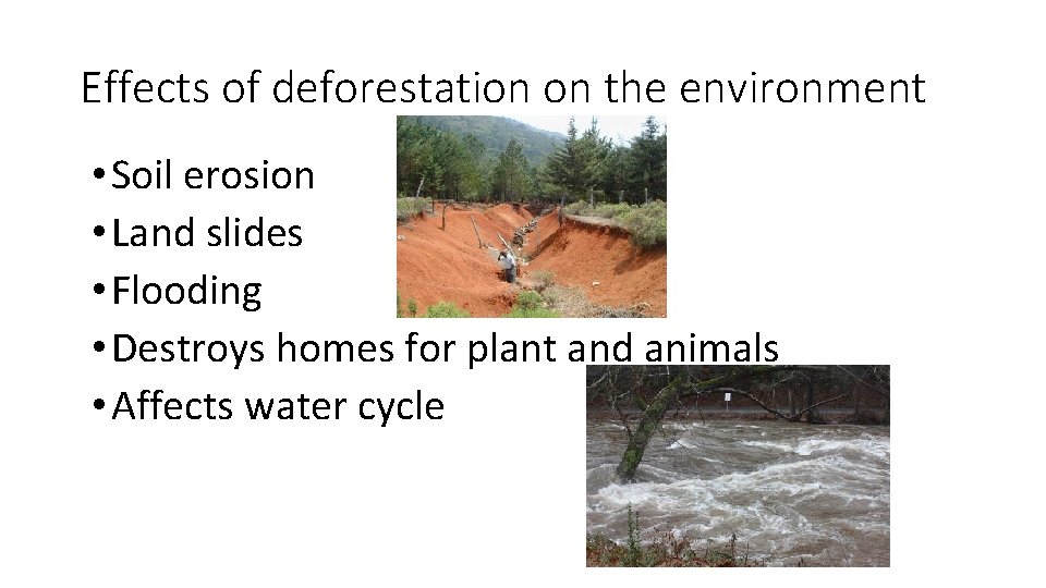 Effects of deforestation on the environment • Soil erosion • Land slides • Flooding