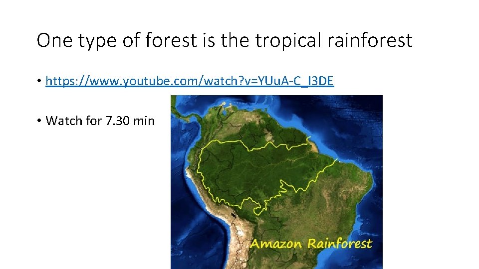 One type of forest is the tropical rainforest • https: //www. youtube. com/watch? v=YUu.